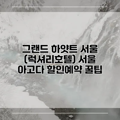 그랜드 하얏트 서울 (럭셔리호텔) 서울 아고다 할인예약 꿀팁