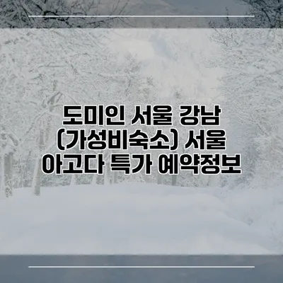 도미인 서울 강남 (가성비숙소) 서울 아고다 특가 예약정보