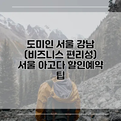 도미인 서울 강남 (비즈니스 편리성) 서울 아고다 할인예약 팁