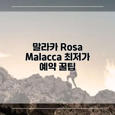 말라카 Rosa Malacca 최저가 예약 꿀팁