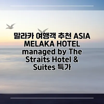 말라카 여행객 추천 ASIA MELAKA HOTEL managed by The Straits Hotel & Suites 특가