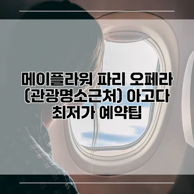 메이플라워 파리 오페라 (관광명소근처) 아고다 최저가 예약팁