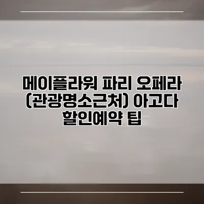 메이플라워 파리 오페라 (관광명소근처) 아고다 할인예약 팁