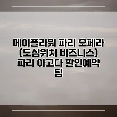 메이플라워 파리 오페라 (도심위치 비즈니스) 파리 아고다 할인예약 팁