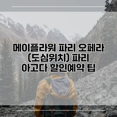 메이플라워 파리 오페라 (도심위치) 파리 아고다 할인예약 팁