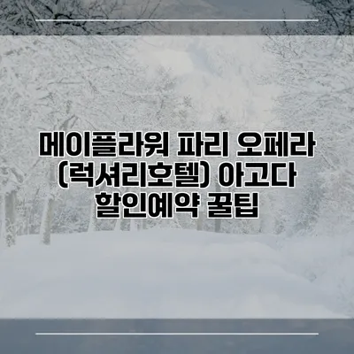 메이플라워 파리 오페라 (럭셔리호텔) 아고다 할인예약 꿀팁
