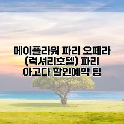 메이플라워 파리 오페라 (럭셔리호텔) 파리 아고다 할인예약 팁