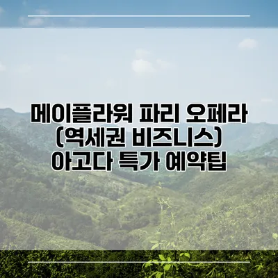 메이플라워 파리 오페라 (역세권 비즈니스) 아고다 특가 예약팁