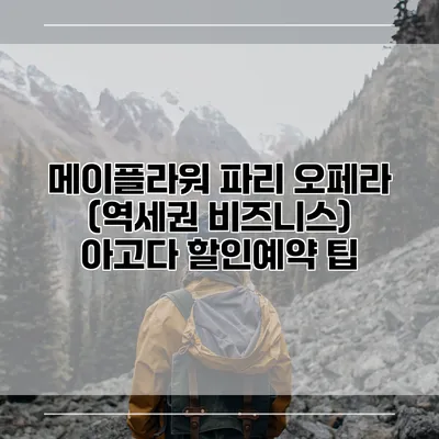 메이플라워 파리 오페라 (역세권 비즈니스) 아고다 할인예약 팁