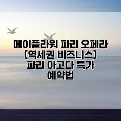 메이플라워 파리 오페라 (역세권 비즈니스) 파리 아고다 특가 예약법