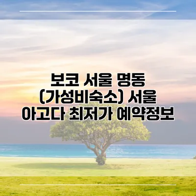 보코 서울 명동 (가성비숙소) 서울 아고다 최저가 예약정보