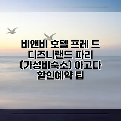 비앤비 호텔 프레 드 디즈니랜드 파리 (가성비숙소) 아고다 할인예약 팁