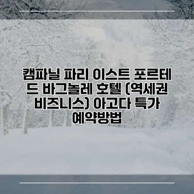 캠파닐 파리 이스트 포르테 드 바그놀레 호텔 (역세권 비즈니스) 아고다 특가 예약방법