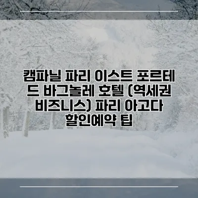 캠파닐 파리 이스트 포르테 드 바그놀레 호텔 (역세권 비즈니스) 파리 아고다 할인예약 팁