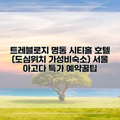 트레블로지 명동 시티홀 호텔 (도심위치 가성비숙소) 서울 아고다 특가 예약꿀팁