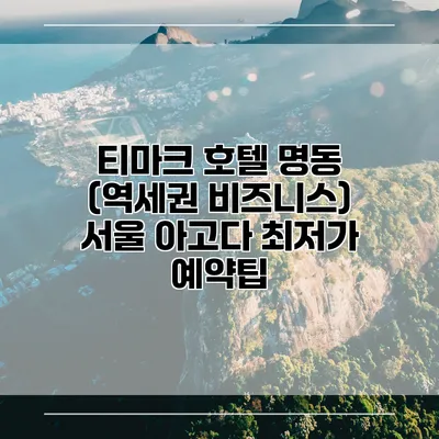 티마크 호텔 명동 (역세권 비즈니스) 서울 아고다 최저가 예약팁
