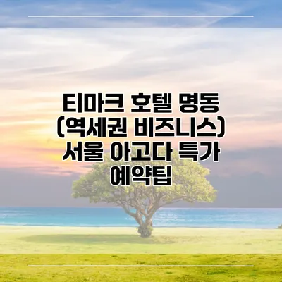 티마크 호텔 명동 (역세권 비즈니스) 서울 아고다 특가 예약팁