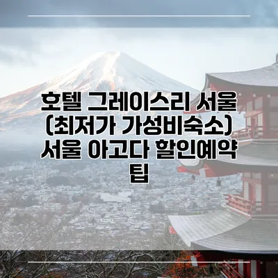 호텔 그레이스리 서울 (최저가 가성비숙소) 서울 아고다 할인예약 팁