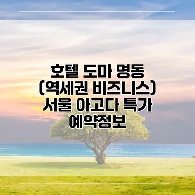 호텔 도마 명동 (역세권 비즈니스) 서울 아고다 특가 예약정보