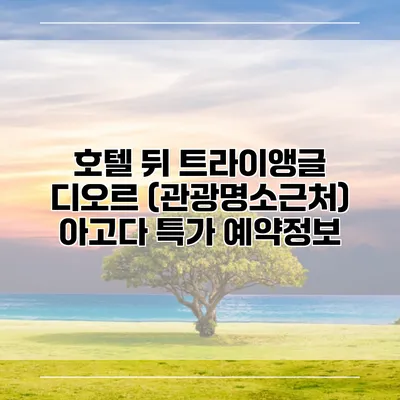 호텔 뒤 트라이앵글 디오르 (관광명소근처) 아고다 특가 예약정보