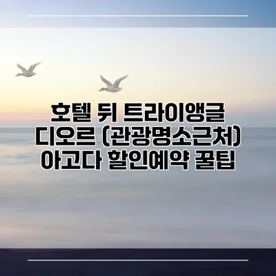 호텔 뒤 트라이앵글 디오르 (관광명소근처) 아고다 할인예약 꿀팁