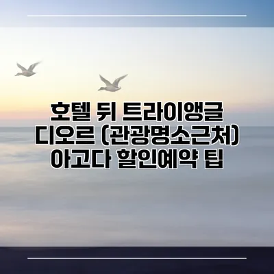 호텔 뒤 트라이앵글 디오르 (관광명소근처) 아고다 할인예약 팁