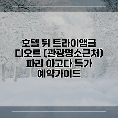호텔 뒤 트라이앵글 디오르 (관광명소근처) 파리 아고다 특가 예약가이드