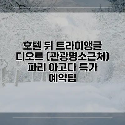 호텔 뒤 트라이앵글 디오르 (관광명소근처) 파리 아고다 특가 예약팁