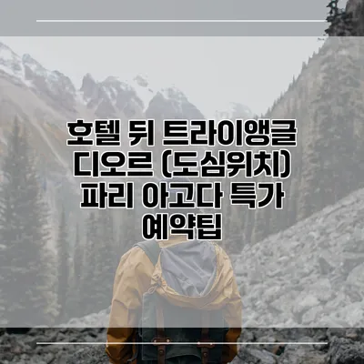 호텔 뒤 트라이앵글 디오르 (도심위치) 파리 아고다 특가 예약팁