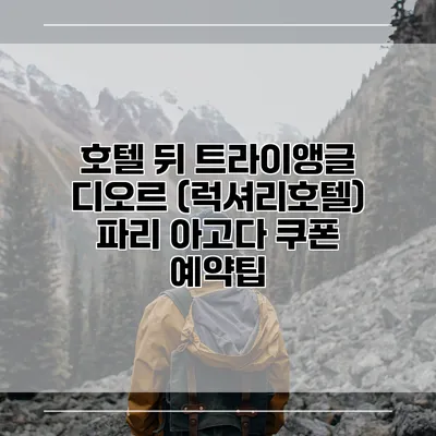 호텔 뒤 트라이앵글 디오르 (럭셔리호텔) 파리 아고다 쿠폰 예약팁