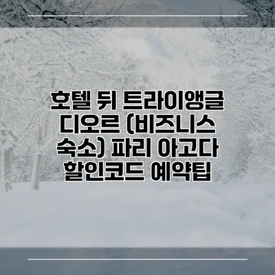 호텔 뒤 트라이앵글 디오르 (비즈니스 숙소) 파리 아고다 할인코드 예약팁