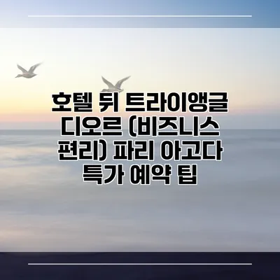 호텔 뒤 트라이앵글 디오르 (비즈니스 편리) 파리 아고다 특가 예약 팁