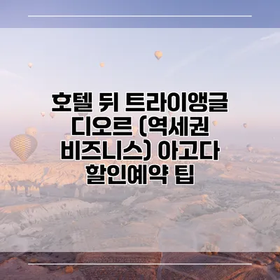 호텔 뒤 트라이앵글 디오르 (역세권 비즈니스) 아고다 할인예약 팁
