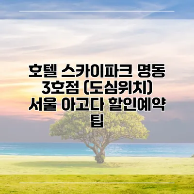 호텔 스카이파크 명동 3호점 (도심위치) 서울 아고다 할인예약 팁