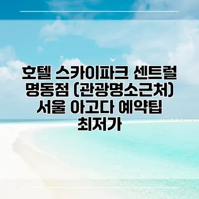 호텔 스카이파크 센트럴 명동점 (관광명소근처) 서울 아고다 예약팁 최저가