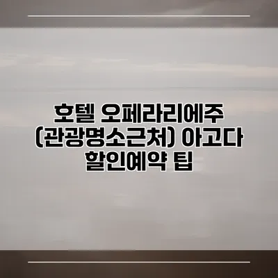 호텔 오페라리에주 (관광명소근처) 아고다 할인예약 팁