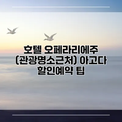 호텔 오페라리에주 (관광명소근처) 아고다 할인예약 팁